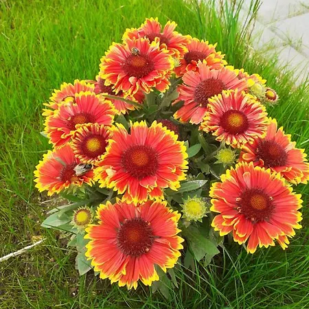 Herbstzauber بيت للعطل هايدموهله